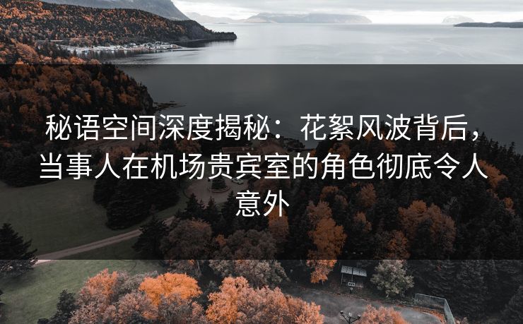 秘语空间深度揭秘：花絮风波背后，当事人在机场贵宾室的角色彻底令人意外
