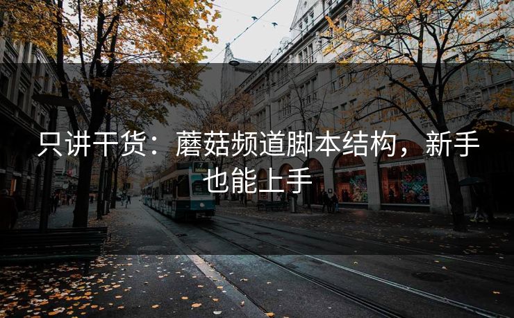 只讲干货：蘑菇频道脚本结构，新手也能上手